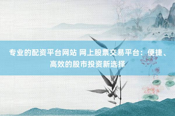 专业的配资平台网站 网上股票交易平台：便捷、高效的股市投资新选择