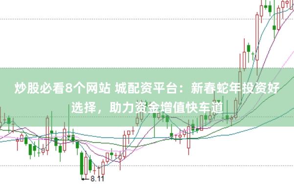 炒股必看8个网站 城配资平台：新春蛇年投资好选择，助力资金增值快车道