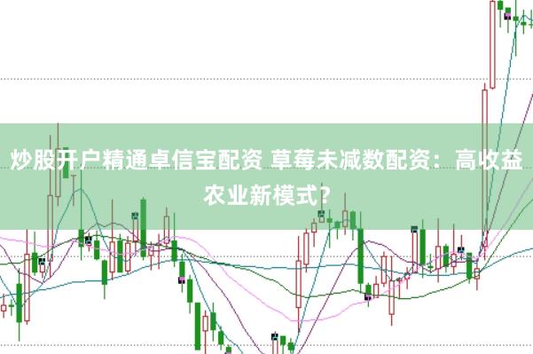 炒股开户精通卓信宝配资 草莓未减数配资：高收益农业新模式？