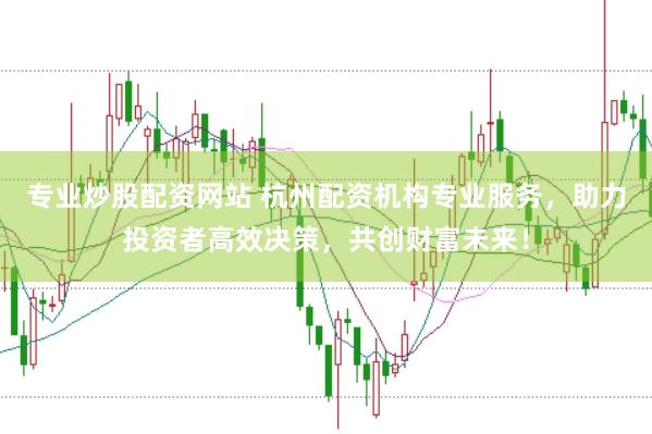 专业炒股配资网站 杭州配资机构专业服务，助力投资者高效决策，共创财富未来！