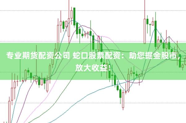 专业期货配资公司 蛇口股票配资：助您掘金股市，放大收益！