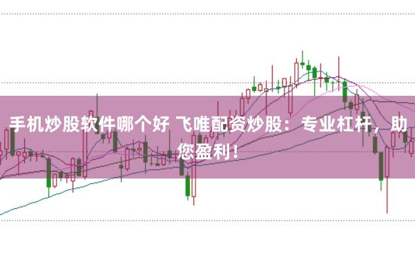 手机炒股软件哪个好 飞唯配资炒股：专业杠杆，助您盈利！