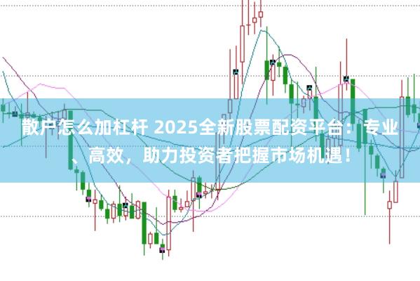 散户怎么加杠杆 2025全新股票配资平台：专业、高效，助力投资者把握市场机遇！
