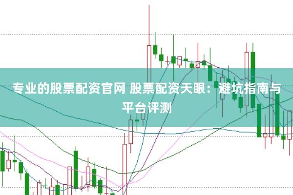 专业的股票配资官网 股票配资天眼：避坑指南与平台评测