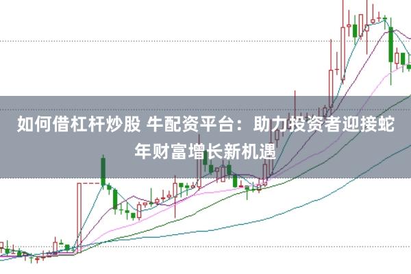 如何借杠杆炒股 牛配资平台：助力投资者迎接蛇年财富增长新机遇