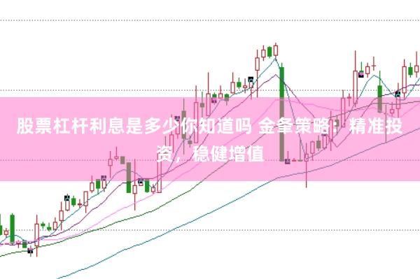 股票杠杆利息是多少你知道吗 金夆策略：精准投资，稳健增值