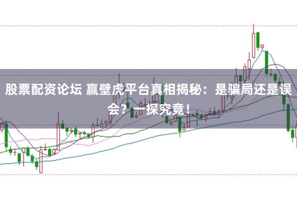 股票配资论坛 赢壁虎平台真相揭秘：是骗局还是误会？一探究竟！