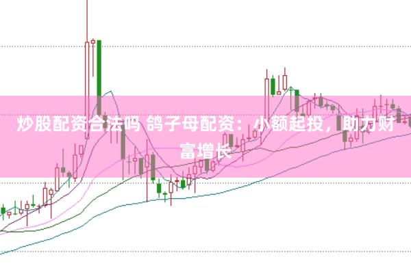 炒股配资合法吗 鸽子母配资：小额起投，助力财富增长