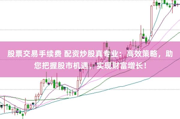 股票交易手续费 配资炒股真专业：高效策略，助您把握股市机遇，实现财富增长！