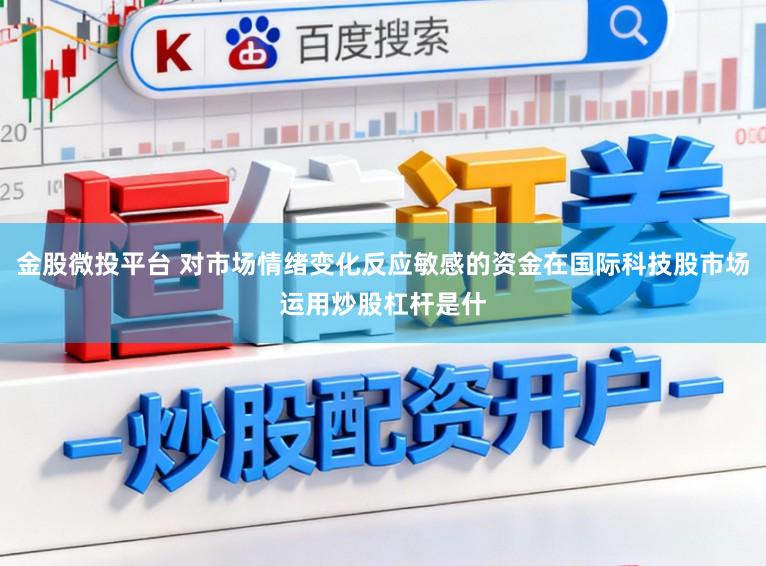 金股微投平台 对市场情绪变化反应敏感的资金在国际科技股市场运用炒股杠杆是什
