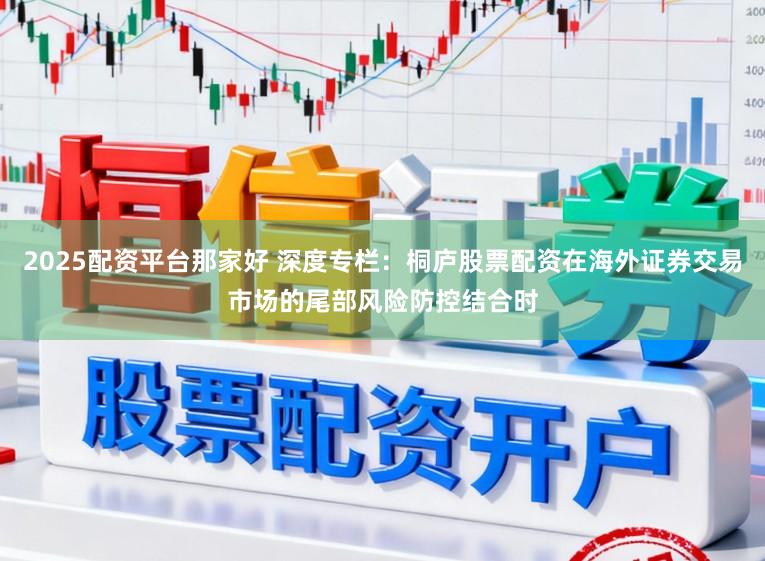 2025配资平台那家好 深度专栏：桐庐股票配资在海外证券交易市场的尾部风险防控结合时