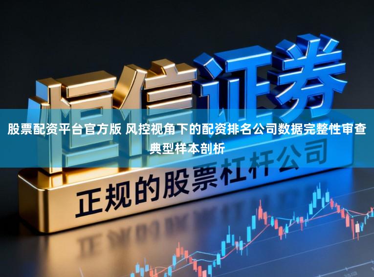 股票配资平台官方版 风控视角下的配资排名公司数据完整性审查典型样本剖析