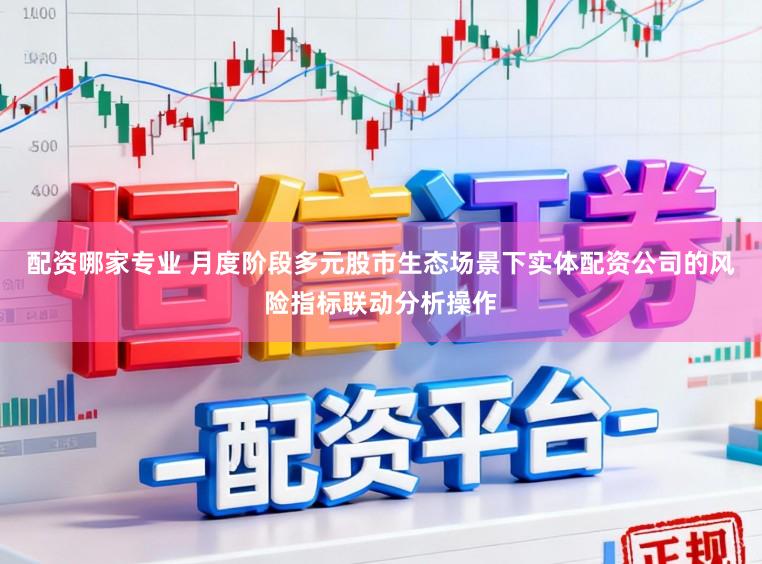 配资哪家专业 月度阶段多元股市生态场景下实体配资公司的风险指标联动分析操作